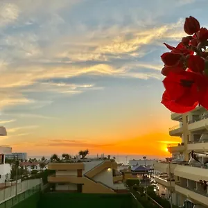 apartment-ocean-park-in-costa-adeje-tenerife.adeje-hotels.com/